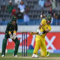03xp-cricket1-whzj-articleLarge.webp